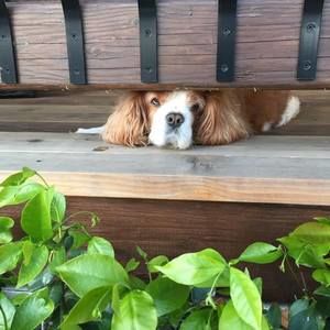 Meet your Posher, Karin